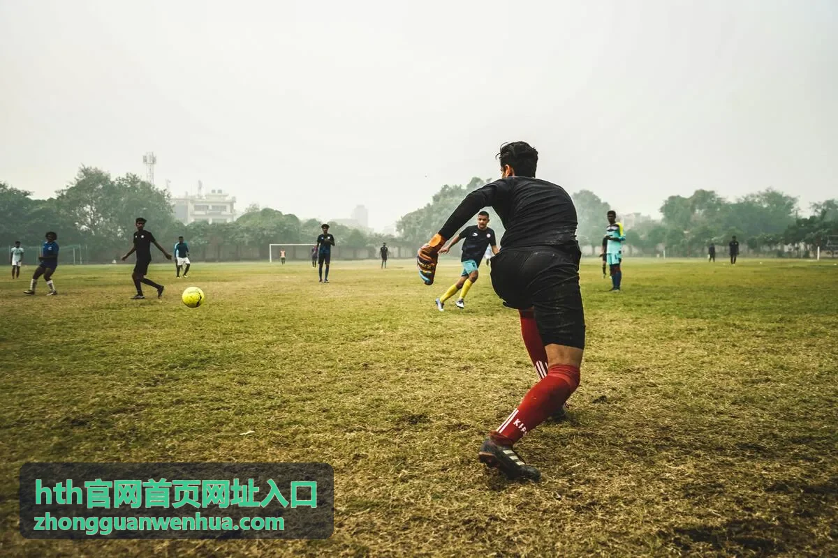 hth官网首页网址入口的内容导航首页场景